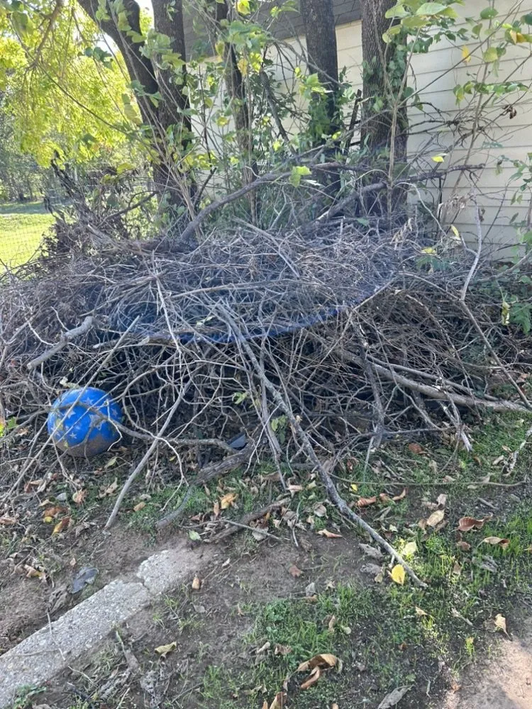 Local landscape installation in Denton, TX - Cashman Site Services