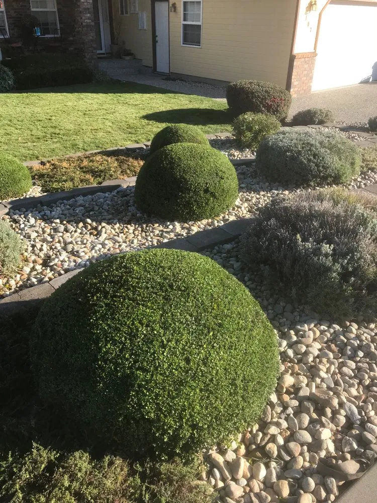 Affordable landscape installation in Cashmere, WA - Cashmere Landscaping and Solutions