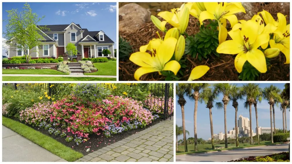 Trusted landscape design near you in Rockford, IL by Cash's Custom Lawn Care