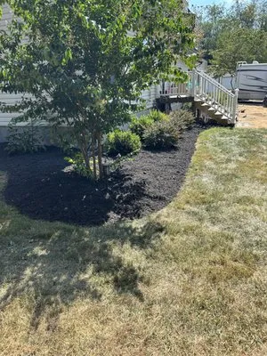 Cash’s Lawn & Landscape