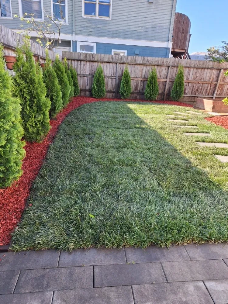 Professional lawn care service experts serving Richmond, CA - Casimiro Landscaping Services