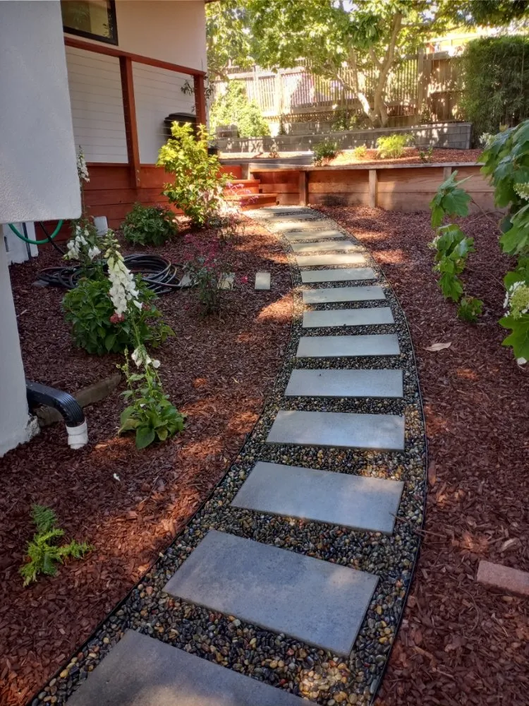 Affordable lawn care service near you in Richmond, CA by Casimiro Landscaping Services