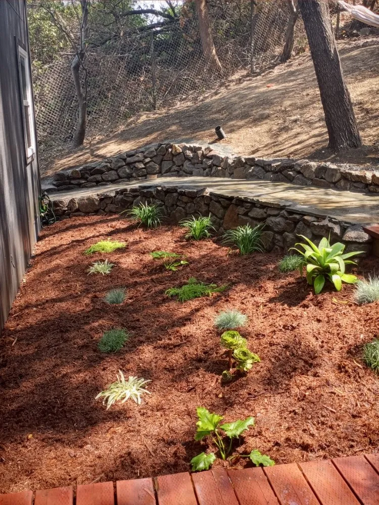 Professional lawn care service in Richmond, CA - Casimiro Landscaping Services