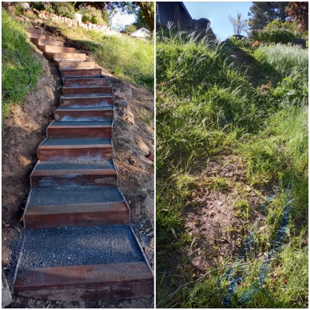 Reliable yard cleanup service for homes in Richmond, CA by Casimiro Landscaping Services