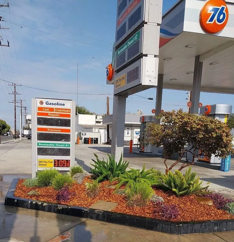 Professional yard maintenance for homes across Carson, CA - CasiProLands