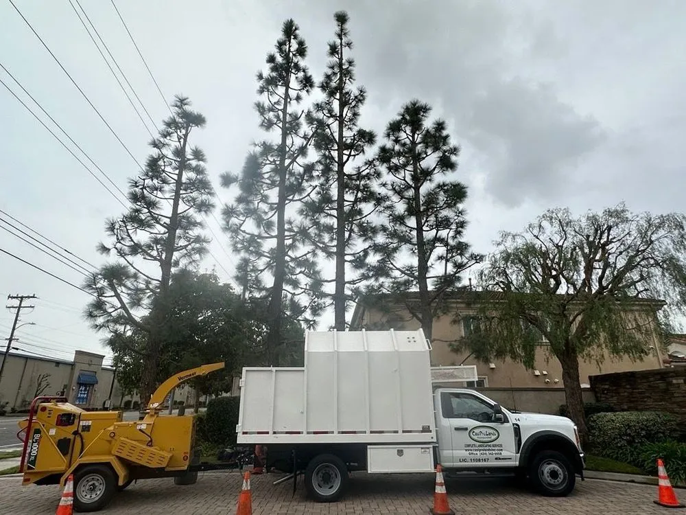 Local lawn care service in Carson, CA by CasiProLands