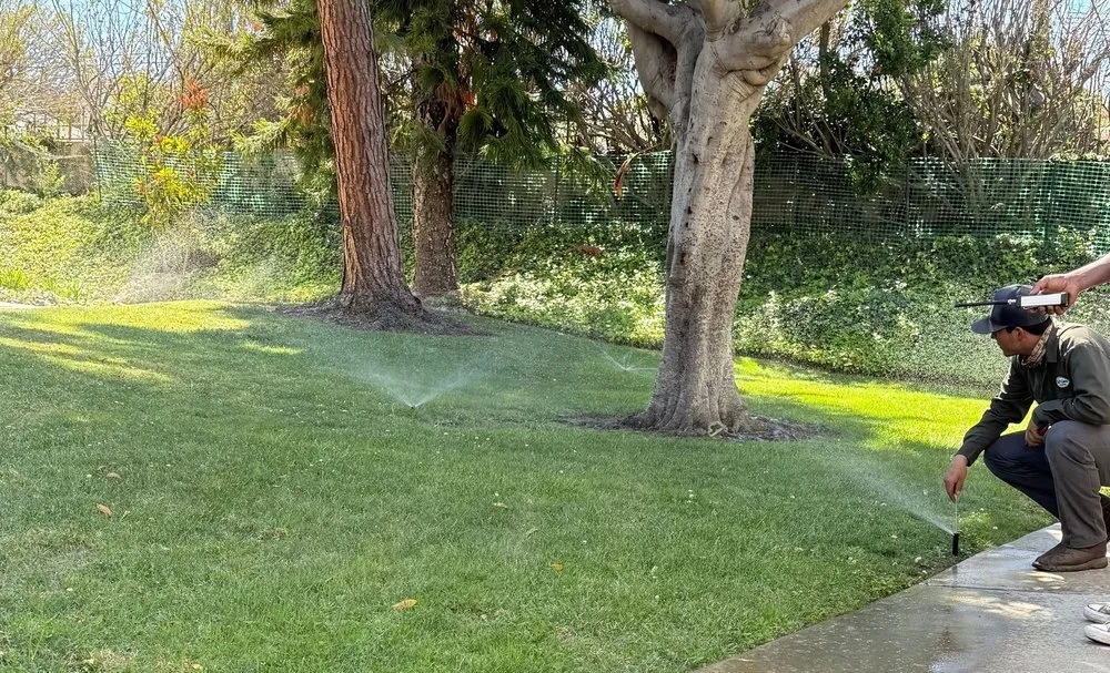 Professional landscape installation in Carson, CA - CasiProLands