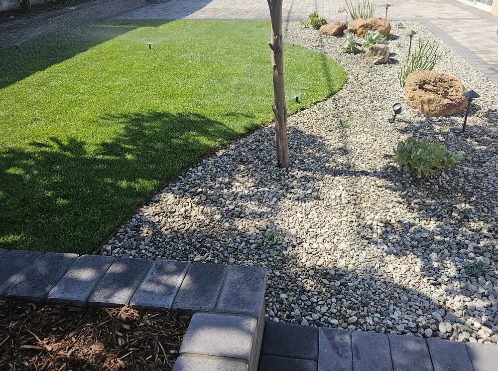 Custom lawn care service experts serving Harbor City, CA - CasiProLands