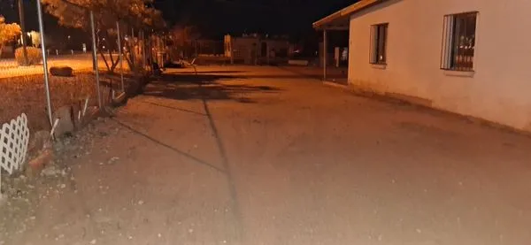 Casnor Landscaping Logo