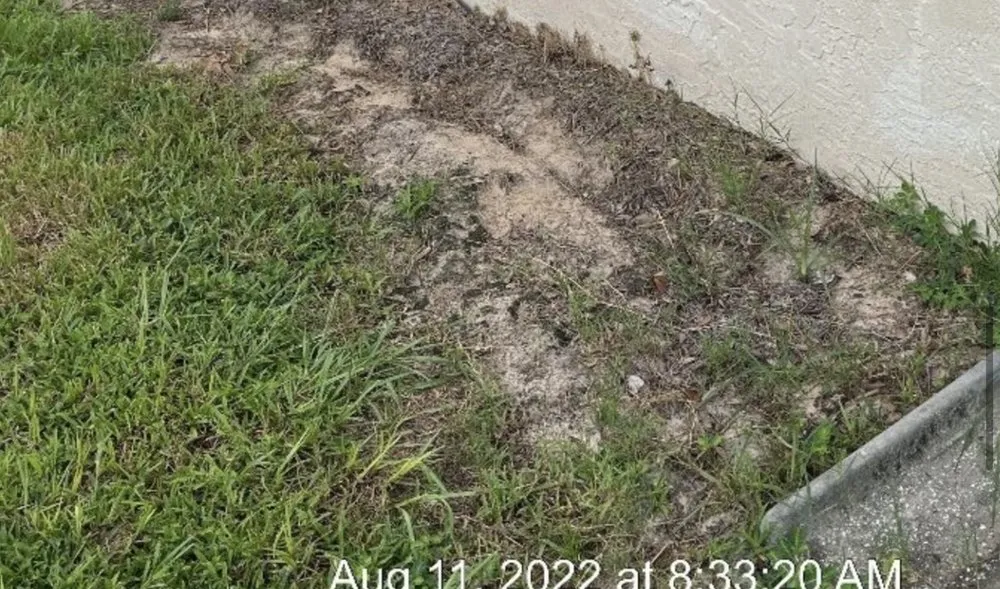 Reliable lawn care service for outdoor upgrades across Ocala, FL - Casper Lawncare