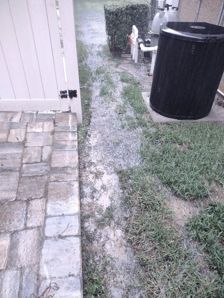 Affordable yard cleanup service in Plant City, FL by Casper's Friendly Lawn Service