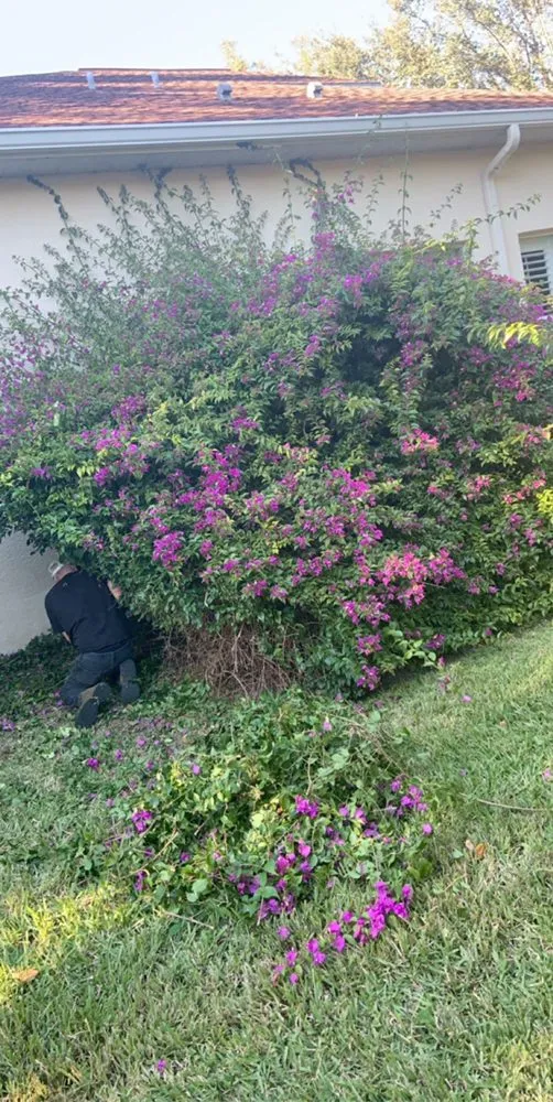 Top-rated lawn mowing service in Plant City, FL - Casper's Friendly Lawn Service