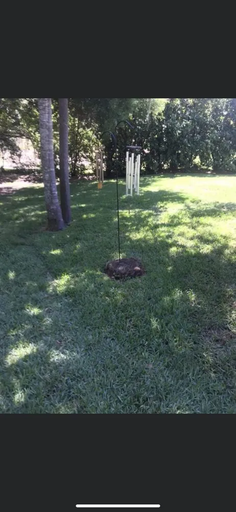 Reliable landscaping services in Plant City, FL by Casper's Friendly Lawn Service