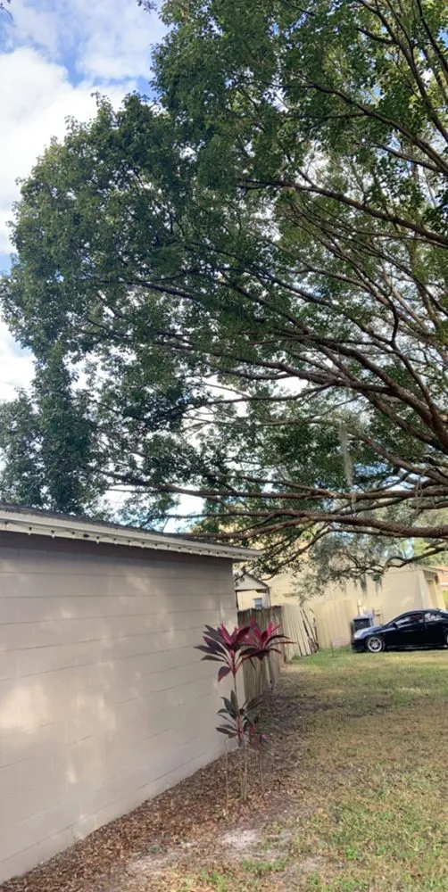 Reliable outdoor landscaping near you across Plant City, FL - Casper's Friendly Lawn Service