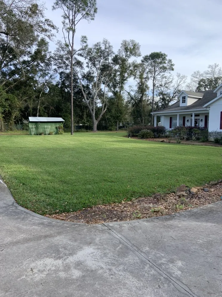 Professional yard cleanup service in Plant City, FL - Casper's Friendly Lawn Service