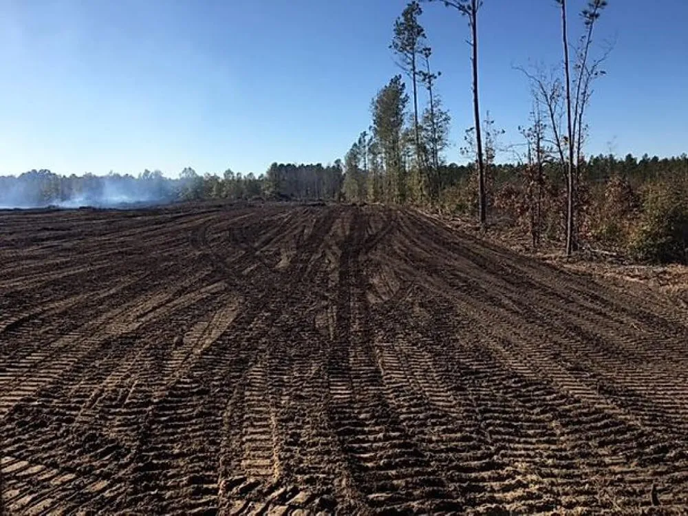 Professional garden landscaping near you in Wilmington, DE by Cassello Tree Service