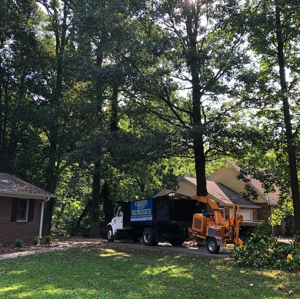 Top-rated landscape installation for year-round maintenance in Wilmington, DE by Cassello Tree Service