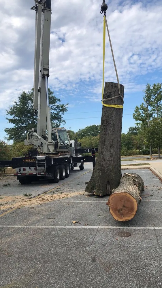 Top-rated lawn mowing service experts serving Wilmington, DE - Cassello Tree Service
