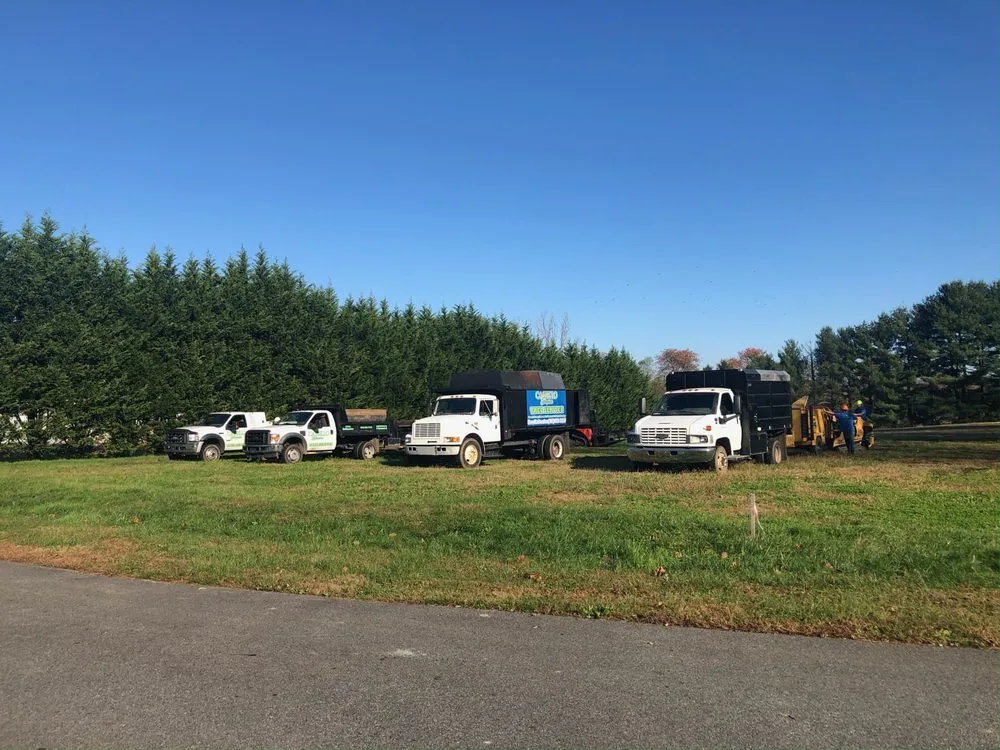 Affordable residential landscaping experts serving Wilmington, DE - Cassello Tree Service