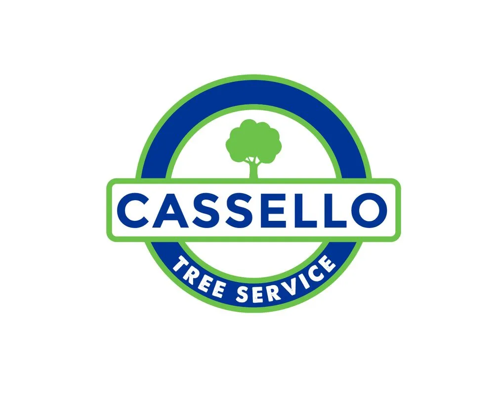 Professional landscape installation in Wilmington, DE - Cassello Tree Service
