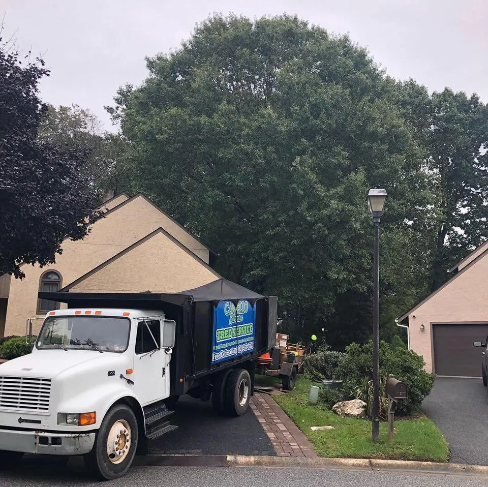 Affordable residential landscaping near you across Wilmington, DE - Cassello Tree Service