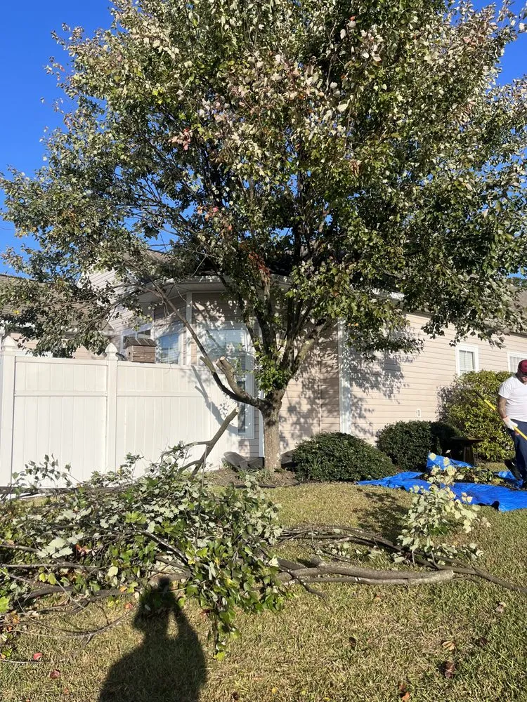 Top-rated lawn care service in Conway, SC - Cassidy & Co Exterior Design