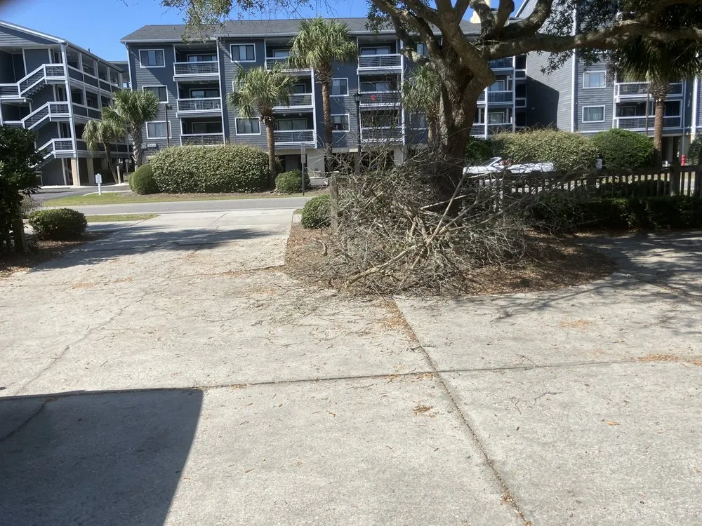 Top-rated yard cleanup service in Conway, SC by Cassidy & Co Exterior Design