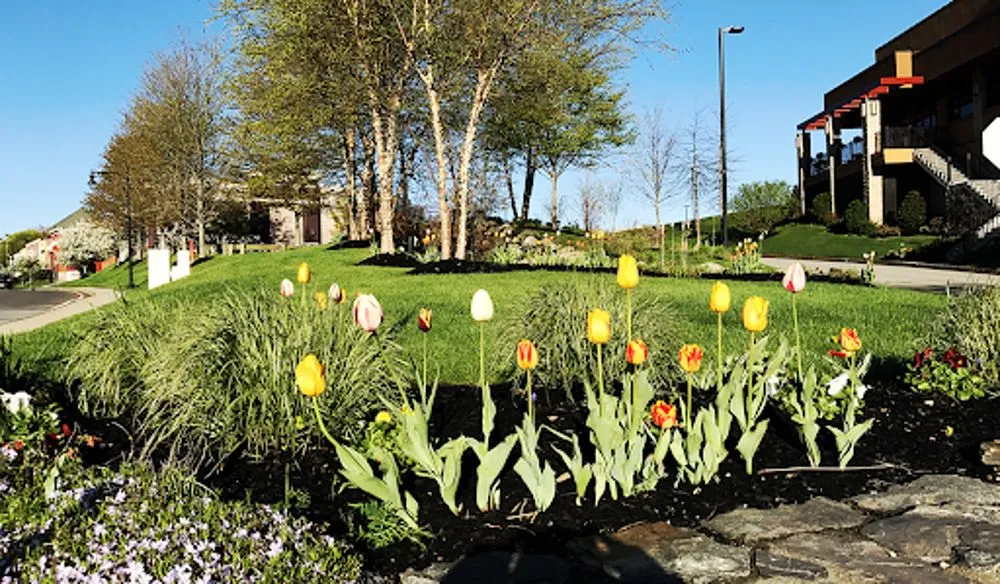 Affordable landscape design for residential properties in Woburn, MA by Cassidy Landscaping & Masonry