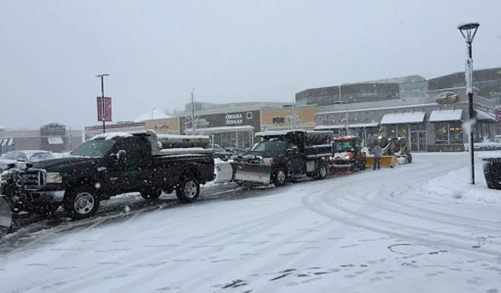 Professional yard maintenance in Woburn, MA by Cassidy Landscaping & Masonry