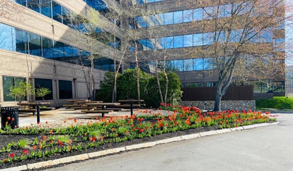 Affordable outdoor landscaping for year-round maintenance in Woburn, MA by Cassidy Landscaping & Masonry