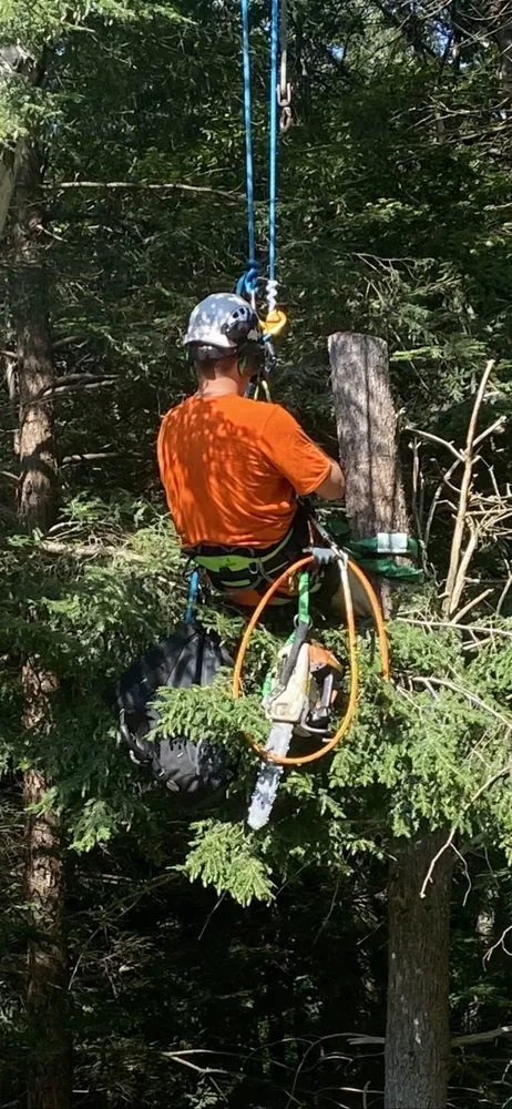 Expert landscape design experts serving Milford, NH - Cassidy Tree and Landscape