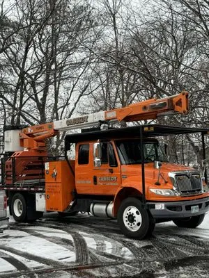 Cassidy Tree and Landscape Logo