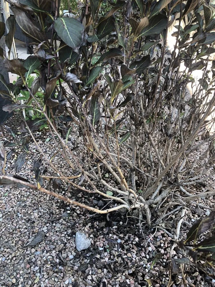 Trusted outdoor landscaping in Santa Fe, NM - Cassidy's Landscaping