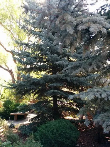 Trusted lawn care service for homes in Santa Fe, NM by Cassidy's Landscaping