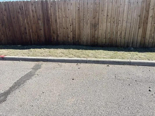 Cassidy's Landscaping Logo