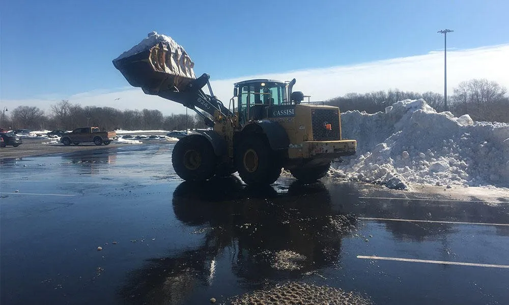 Affordable lawn care service experts serving Johnston, RI - Cassisi II Construction