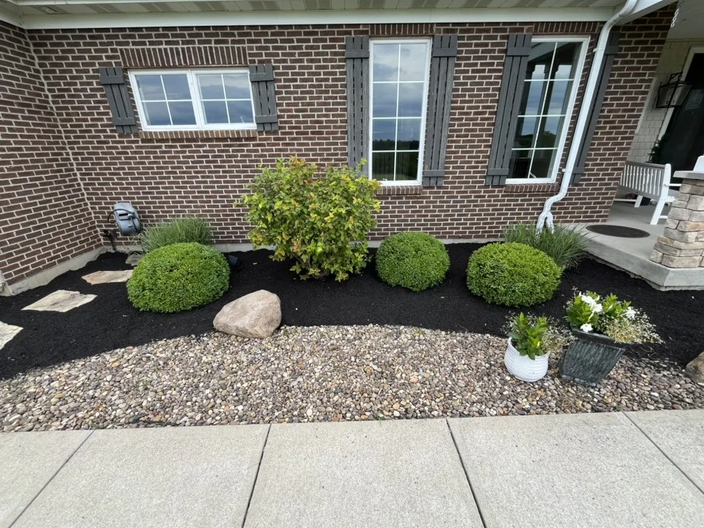 Custom yard cleanup service in Alexandria, KY - Casson Construction