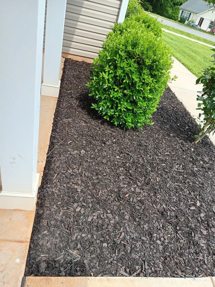 Local lawn mowing service in Hamptonville, NC - Casstevens lawn Care