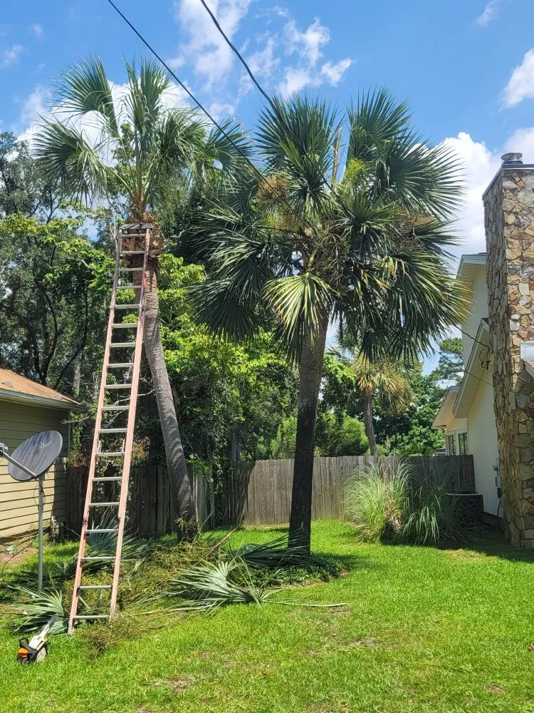 Affordable landscaping services with custom design across Fort Walton Beach, FL - Cast Away Lawn Care