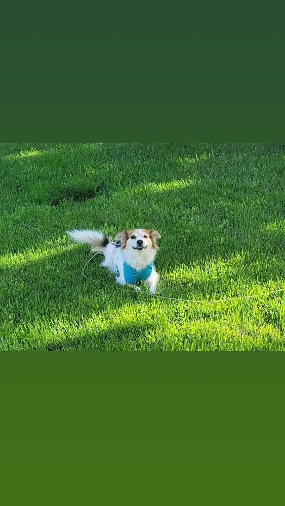 Custom lawn care service near you across Fort Walton Beach, FL - Cast Away Lawn Care