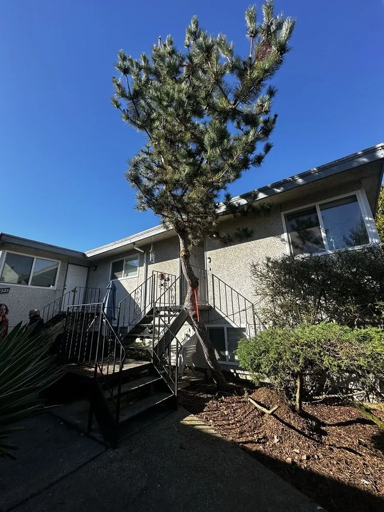 Local yard maintenance for beautiful yards in Belfair, WA by Castaneda Landscaping & Construction