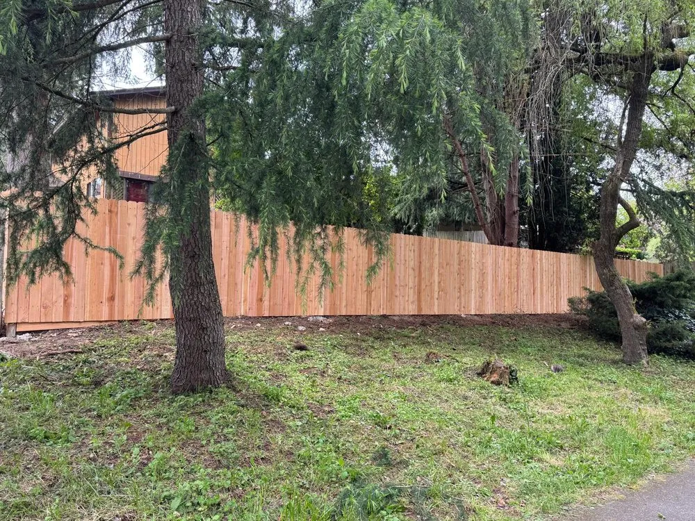 Affordable yard cleanup service in Belfair, WA by Castaneda Landscaping & Construction