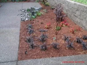 Trusted garden landscaping in Aberdeen, WA by Castaneda Landscaping