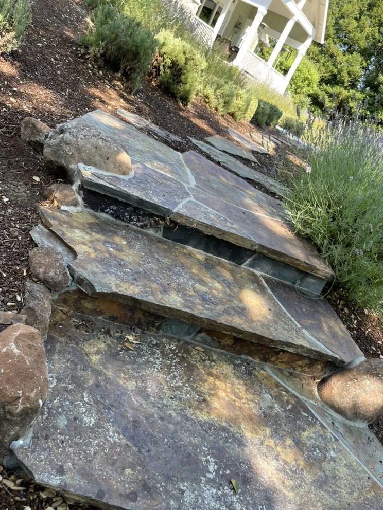 Professional garden landscaping for beautiful yards across Morgan Hill, CA - Castaneda Landscaping