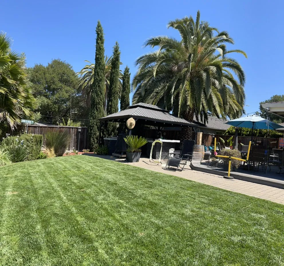 Reliable residential landscaping experts serving Morgan Hill, CA - Castaneda Landscaping