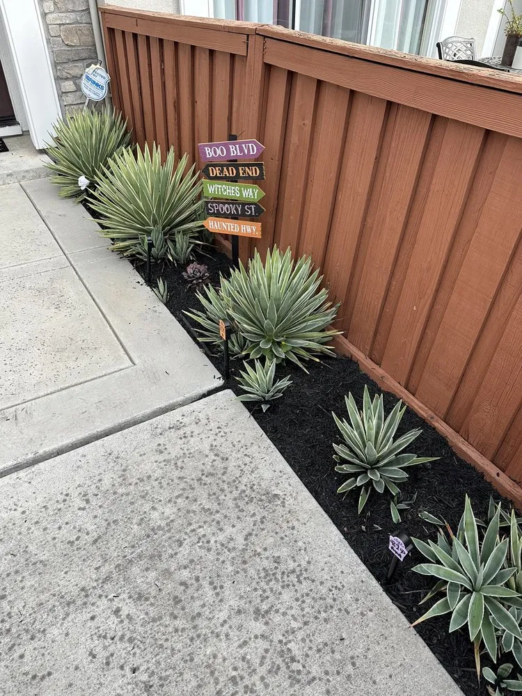 Professional residential landscaping for residential properties across San Jose, CA - Castaneda landscaping