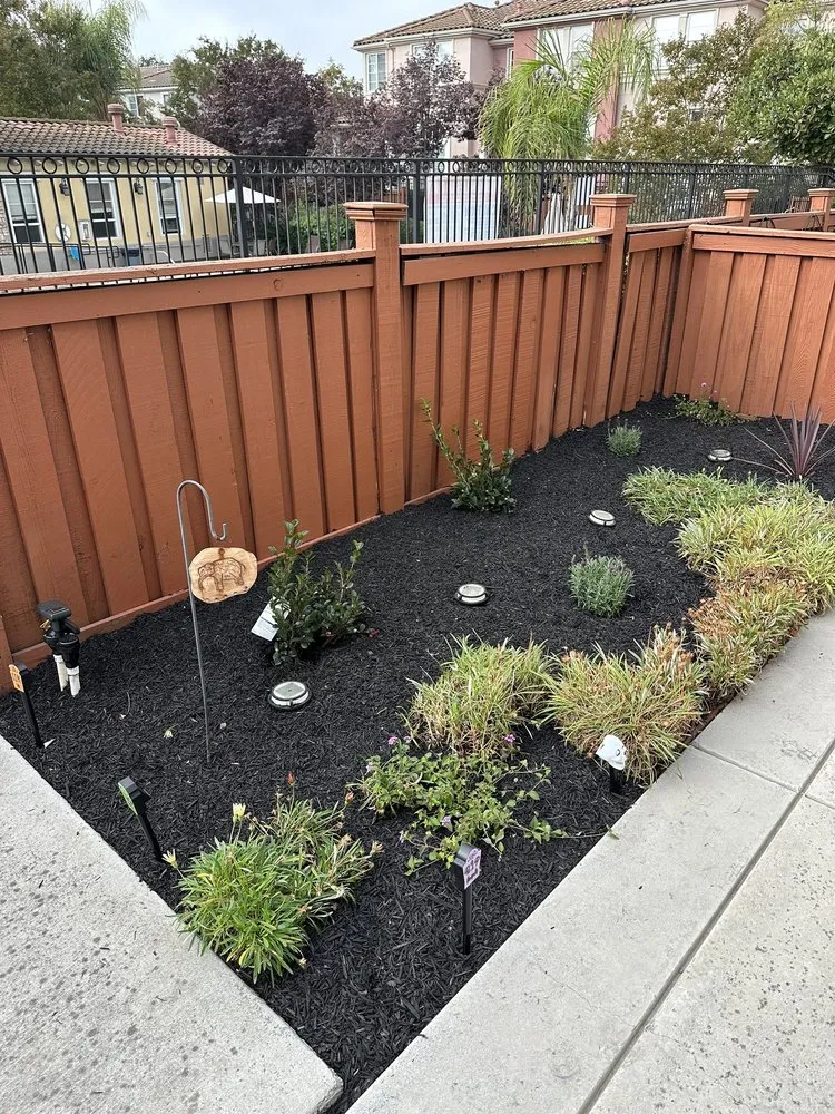Professional landscaping services for residential properties across San Jose, CA - Castaneda landscaping