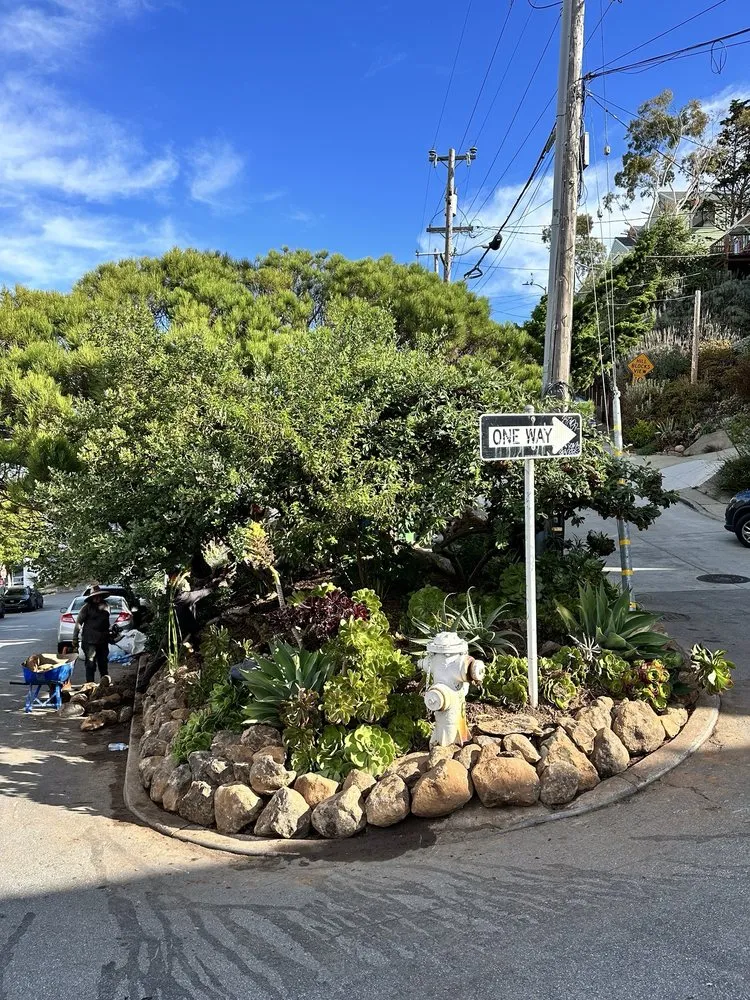 Top-rated yard maintenance in San Jose, CA by Castaneda landscaping