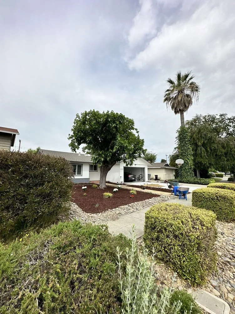 Affordable lawn mowing service with custom design in San Jose, CA by Castaneda landscaping