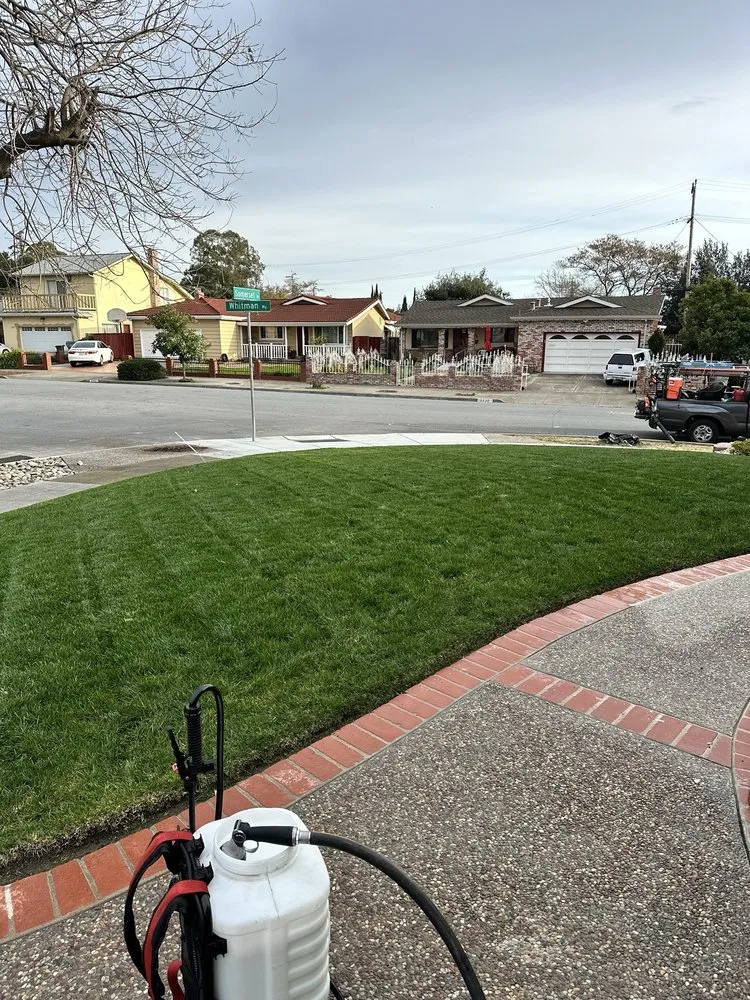 Reliable yard cleanup service for beautiful yards across San Jose, CA - Castaneda landscaping